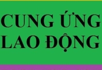 giúp việc nhà khu vực quận 12