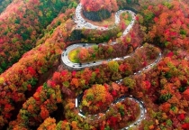 Đẹp choáng ngợp mùa lá đỏ lãng mạn trên con đèo 48 khúc cua ở Nhật Bản