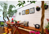 Năm 2019 đến rồi: Đây là 7 loại cây nên trồng để thu hút tài lộc cho gia đình bạn