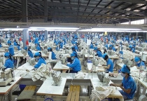 Ép nhân viên đi làm dịp Tết Dương: Bị phạt 15 triệu