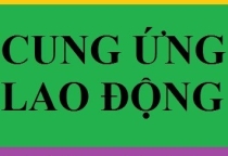 chuyên cung cấp nữ giúp việc nhà bao ăn ở hoặc đi về