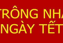 TÌM NGƯỜI TRÔNG NHÀ NGÀY TẾT TẠI QUẬN TÂN BÌNH -- 0903.720.327